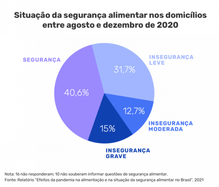 Qual A Porcentagem De Pessoas Que Passam Fome No Brasil